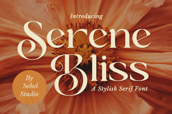 Serene Bliss: A Versatile Typeface for Every Creative Vision